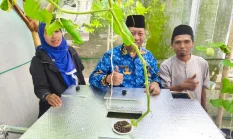 Ciptakan Inovasi Pertanian Ala Jepang, DKPP Sumenep Uji Coba Budidaya Melon Sistem Machida