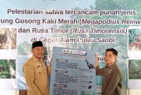 Kades Saobi, Hosaini, saat menerima cenderamata edukasi burung gosong kaki merah (Za - garudajatim.com) 