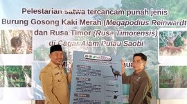 Kades Saobi, Hosaini, saat menerima cenderamata edukasi burung gosong kaki merah (Za - garudajatim.com) 
