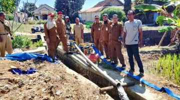 Kepala DKPP Sumenep, Chainur Rasyid, saat memantau lahan pertanian di Desa Pangarangan, dan di Desa Kacongan (Za - garudajatim.com) 