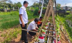 DKKP Sumenep Gandeng BPP Gelar Uji Coba Pupuk Bio
