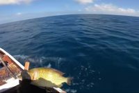 Ikan-ikan yang telah dibom di Pulau Pajengan, Kecamatan Nonggunong, Kabupaten Sumenep, Madura, Jawa Timur (Za - garudajatim.com) 