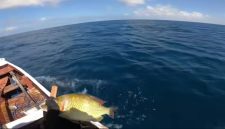 Ikan-ikan yang telah dibom di Pulau Pajengan, Kecamatan Nonggunong, Kabupaten Sumenep, Madura, Jawa Timur (Za - garudajatim.com) 