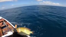 Ikan-ikan yang telah dibom di Pulau Pajengan, Kecamatan Nonggunong, Kabupaten Sumenep, Madura, Jawa Timur (Za - garudajatim.com) 