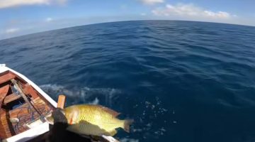 Ikan-ikan yang telah dibom di Pulau Pajengan, Kecamatan Nonggunong, Kabupaten Sumenep, Madura, Jawa Timur (Za - garudajatim.com) 
