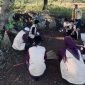 Kuliah Kerja Nyata (KKN) Universitas PGRI Sumenep saat melaksanakan program kerja bhujuk bersih atau wisata religi di Desa Ellak Daya, Kecamatan Lenteng, Kabupaten Sumenep (Za - garudajatim.com) 