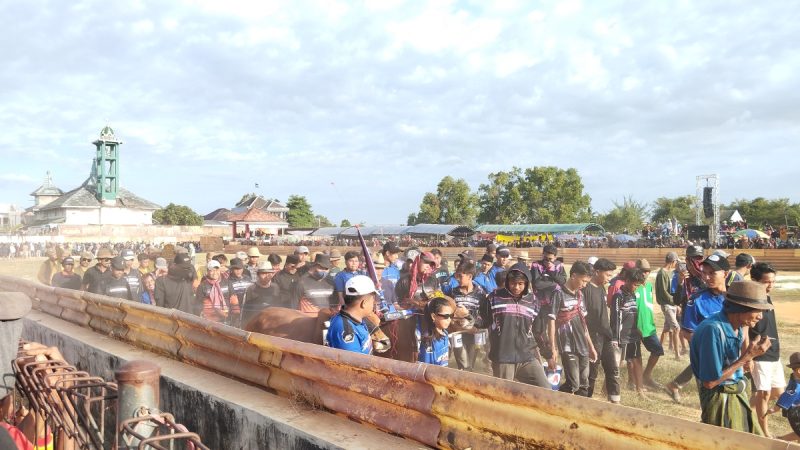 Karapan sapi piala Bupati Sumenep menuju piala Presiden
