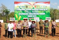 Kepala DKPP Sumenep, Chainur Rasyid, bersama Wabup Sumenep, Imam Hasyim, saat melakukan penanaman jagung serentak kuartal IV (Za - garudajatim.com) 