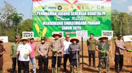 Kepala DKPP Sumenep, Chainur Rasyid, bersama Wabup Sumenep, Imam Hasyim, saat melakukan penanaman jagung serentak kuartal IV (Za - garudajatim.com) 