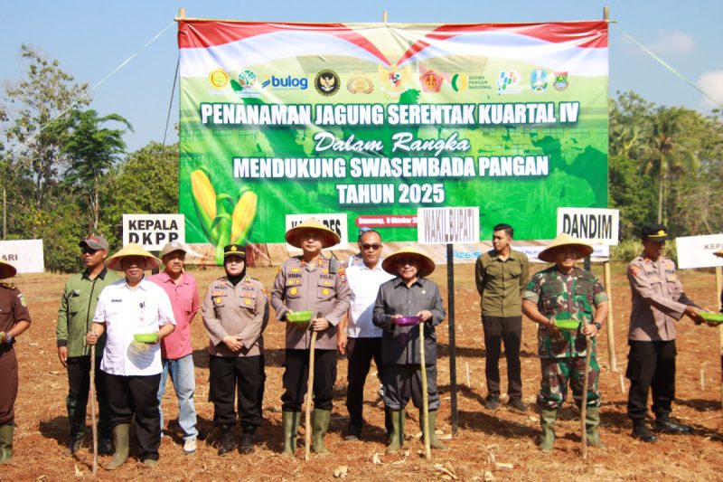 Kepala DKPP Sumenep, Chainur Rasyid, bersama Wabup Sumenep, Imam Hasyim, saat melakukan penanaman jagung serentak kuartal IV (Za - garudajatim.com) 