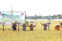 Kepala DKPP Sumenep, Chainur Rasyid, saat panen raya bersama petani di Desa Bunpenang, Kecamatan Dungkek (Za - garudajatim.com)