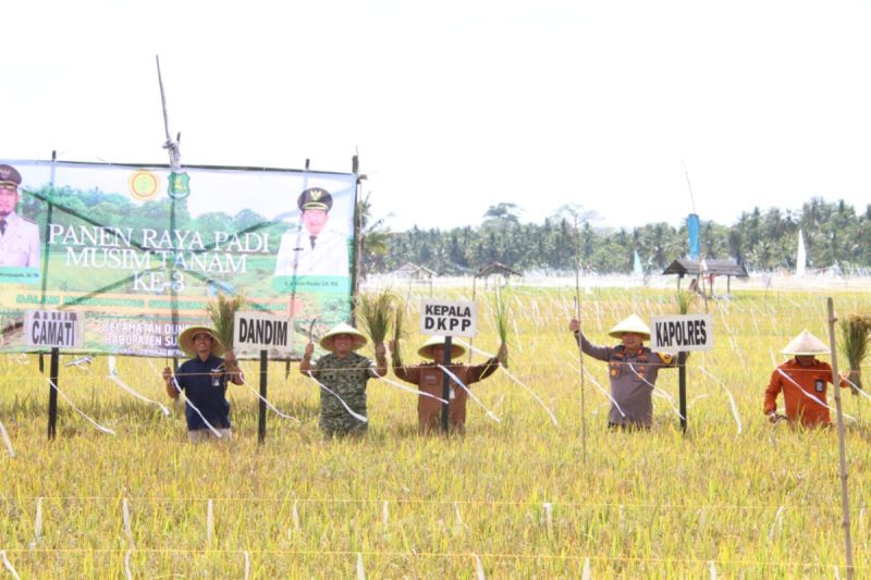 Kepala DKPP Sumenep, Chainur Rasyid, saat panen raya bersama petani di Desa Bunpenang, Kecamatan Dungkek (Za - garudajatim.com) 
