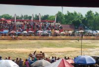 Ribuan masyarakat Madura saat menonton lomba karapan sapi di HUT pertama DRT Sumenep (Za - garudajatim.com)