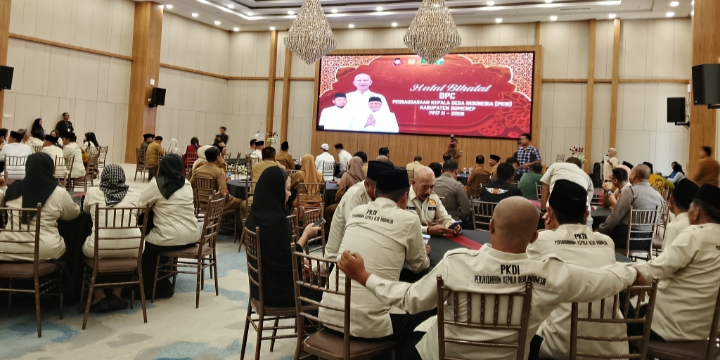 foto slider headline