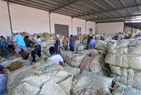 Industri rokok lokal di Sumenep, Madura, Jawa Timur (Istimewa - garudajatim.com)
