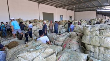 Industri rokok lokal di Sumenep, Madura, Jawa Timur (Istimewa - garudajatim.com)