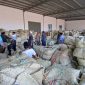 Industri rokok lokal di Sumenep, Madura, Jawa Timur (Istimewa - garudajatim.com)