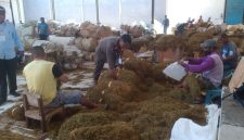 Foto buruh tembakau di pabrik (Istimewa - garudajatim.com)