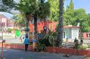 DLH Sumenep saat melakukan pemangkasan pohon kering di area pintu masuk Kantor Pemerintah Kabupaten (Za - garudajatim.com)