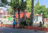 DLH Sumenep saat melakukan pemangkasan pohon kering di area pintu masuk Kantor Pemerintah Kabupaten (Za - garudajatim.com)