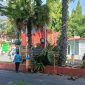 DLH Sumenep saat melakukan pemangkasan pohon kering di area pintu masuk Kantor Pemerintah Kabupaten (Za - garudajatim.com)