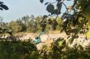 Foto galian C ilegal Desa Sentol Laok, Kecamatan Pragaan, Kabupaten Sumenep, masih beroperasi (Za - garudajatim.com)