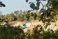 Foto galian C ilegal Desa Sentol Laok, Kecamatan Pragaan, Kabupaten Sumenep, masih beroperasi (Za - garudajatim.com)