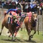 Foto karapan sapi (Istimewa - garudajatim.com)