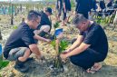 Manajemen dan seluruh artist MYZE Hotel Sumenep by ARTOTEL saat melaksanakan penanaman mangrove (Za - garudajatim.com)