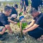 Manajemen dan seluruh artist MYZE Hotel Sumenep by ARTOTEL saat melaksanakan penanaman mangrove (Za - garudajatim.com)